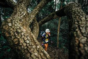 BIB: 
                            <button type="button" onclick="openModal(25393468)" class="btn btn-primary btn-sm float-right btn-popup" data-toggle="modal" data-target=".modal-high-quality">
                        <i class="fas fa-shopping-cart"></i> Add to Cart
                    </button>
                                            <button type="button" onclick="isThisMe(25393468, true)" class="btn btn-success btn-sm float-right btn-popup btn-isme hidden" data-toggle="tooltip" data-placement="bottom" title="นี่คือรูปของคุณใช่ไหม คลิกที่นี่เพื่อเอาเข้าอัลบั้ม">
                        <i class="fas fa-plus"></i> Add to album
                    </button>
                    <button type="button" onclick="isThisMe(25393468, false)" class="btn btn-warning btn-sm float-right btn-popup btn-isnotme hidden">
                        <i class="fas fa-ban"></i> Remove from album
                    </button>